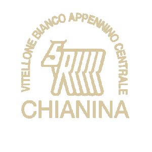 Chianina